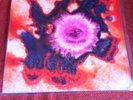 COMBO XINGU , CHILEAN PSYCH FUNK ,ORIGINAL FIRST ALBUM, RARE . VG-/EX