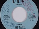 Sweet Soul 45 SAM SAVAGE My Lady RRS HEAR