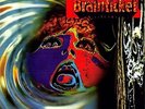 Cottonwoodhill - Brainticket (2011, Vinyl New)