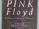PINK FLOYD. Delicate Sound Of Thunder..( 1988 PROMO Vinyl 12