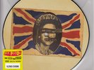 Sex Pistols God Save The Queen UK Vinyl Picture Disc 7Zoll Nummeriert ungespielt