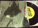 PEARL JAM 7