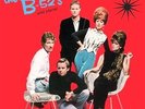 Wild Planet [LP] by B-52's, The  (Vinyl, May-2011, Mobile Fidelity Sound Lab Rec
