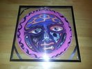 Sublime 40 Oz Limited Edition Picture Disc Vinyl, LP