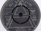 IGUANAS   THIS IS WHAT I WAS MADE FOR   1965 UK 
