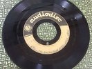 RARE Utica NY Eric & the Chessmen Heat Wave garage rock audiodisc 45 record