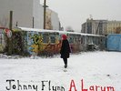 johnny flynn - a larum (LP) 600753105795