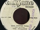 The Willows - Send Another Moses  7