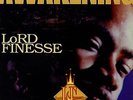 Lord Finesse - The Awakening '95 LP US ORG Special Limited Edition Instrumental