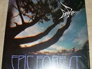 RARE BIRD Epic Forest LP 1972 UK 1st Press Nr MINT POLYDOR 2442 101 +POSTER +7