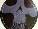 Steal This Album - System of a Down 2x LP Picture Disc OOP