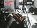 FLOWERED UP weatherall's weekender,Flowered up , heavenly,1992