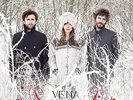 VENA PORTAE - VENA PORTAE (LP+MP3)  LP + DOWNLOAD NEW