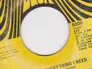 DEEP SOUL 45 RPM - DON HOLLINGER on DASH  RECORDS