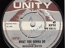 60s Skinhead Reggae REGGAE BOYS what you gonna do 1969 UK Unity Pama 7