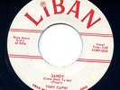Tony Capri RARE PRIVATE Teen Doo Wop 45 Record LIBAN Sandy Why Do You Do Me HEAR