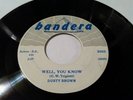 RARE CHICAGO BLUES 45 DUSTY BROWN PLEASE DON'T GO / WELL YOU KNOW 1958 BANDERA
