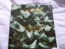 KATE BUSH THE SINGLE FILE 1978-83 7