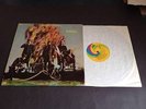 FEVER TREE SELF TITLED UNI STEREO 73024 PSYCH EX/EX LABEL ERROR