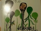Stephen Malkmus - Face the Truth vinyl LP Matador 2005 EX