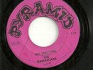 GARAGE 45 by THE DAMASCANS RARE CAROLINA HEAR CLIP
