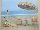 Neil Young -  LP record - On the beach