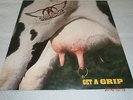 AEROSMITH-GET A GRIP-1993-GEFFEN RECORDS 24444-DOUBLE ALBUM-GENERALLY EXCELLENT