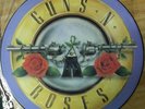 GUNS 'N ROSES:WELCOME TO THE JUNGLE PICTURE DISC 12