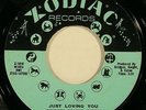 northern soul 45 RUBY ANDREWS “Just Loving You” on ZODIAC orig ’68  HEAR