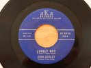 JOHN HURLEY Lonely Boy/Crybaby 45 (AKA Records 103, 1961) VERY RARE Doo Wop HEAR