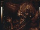 Biohazard - Reborn In Defiance [Vinyl New]