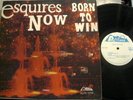Island Soul/Funk LP Esquires Now - Born To Win ANTILLANA 1009 ORIG NM 
