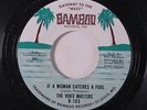 VOICE MASTERS: If A Woman Catches A Fool / You've Hurt Me Baby 45 rare Soul