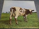 Pink Floyd - Atom Heart Mother  LP  JE 062 o 04550