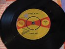 Elmore James - It Hurts Me Too - Sue Label Recording