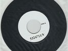 SERGE GAINSBOURG Charlie Brown 45t TEST PRESSING ORIGINAL 2010 MERCURY