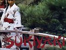A TASTE OF HONEY Sukiyaki FAN SHAPED NM PROMO 7-inch CAPITOL US