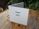 Spiritualized songs in a&e 12 inch vinyl 