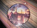 PINK FLOYD ANIMALS PICTURE DISC. NM CONDITION. VERY RARE. REALLY NICE