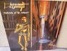 ASSAULT - survival in the street,SCRATCH RECORDS,GER.,1987,MINT/MINT-