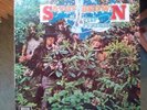 Savoy Brown-A step further