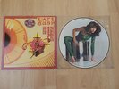 Kate Bush The Kick Inside piture disc, vinyl