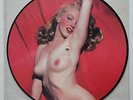 Marilyn Monroe Denmark Vinyl Picture Disc LP / Album Rare Ltd. Edition