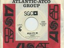 THE NAZZ   Hello It's Me   psych/AOR 45 short/long PROMO (NM)   SGC 001 $