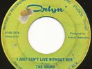 SOUND INVESTMENT on Orlyn --JUST CAN'T LIVE WITHOUT HER-- garage 45 | LISTEN