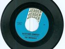 The Imperials Jerden 745 Backyard Compost / The Slip RARE 1965 45 VG