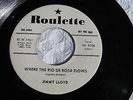 JIMMY LLOYD WHERE THE RIO DE ROSA FLOWS/BEGINNINING  Promo Rockabilly 45  (NM-)