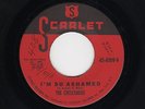'61 White Doowop/TEEN CRESCENDOS I'm So Ashamed/Angel Face SCARLET VG+ HEAR