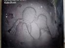 Kate Bush - 50 Words For Snow - 2011 'Fish People'  Double Vinyl LP - Sealed
