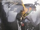 BUDGIE IN FOR THE KILL MCA MCF 2546 BURKE SHELLEY TONY BOURGE RARE ALBUM VINYL